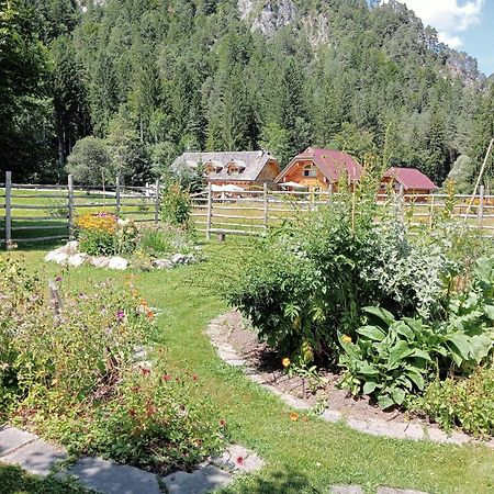Alpi Giulie Chalets Valbruna Esterno foto