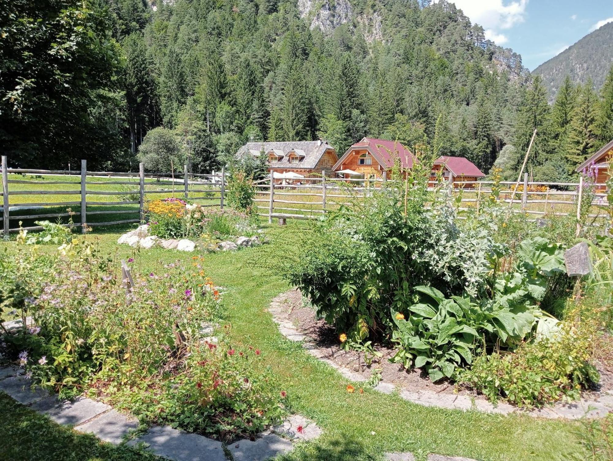 Alpi Giulie Chalets Valbruna Esterno foto