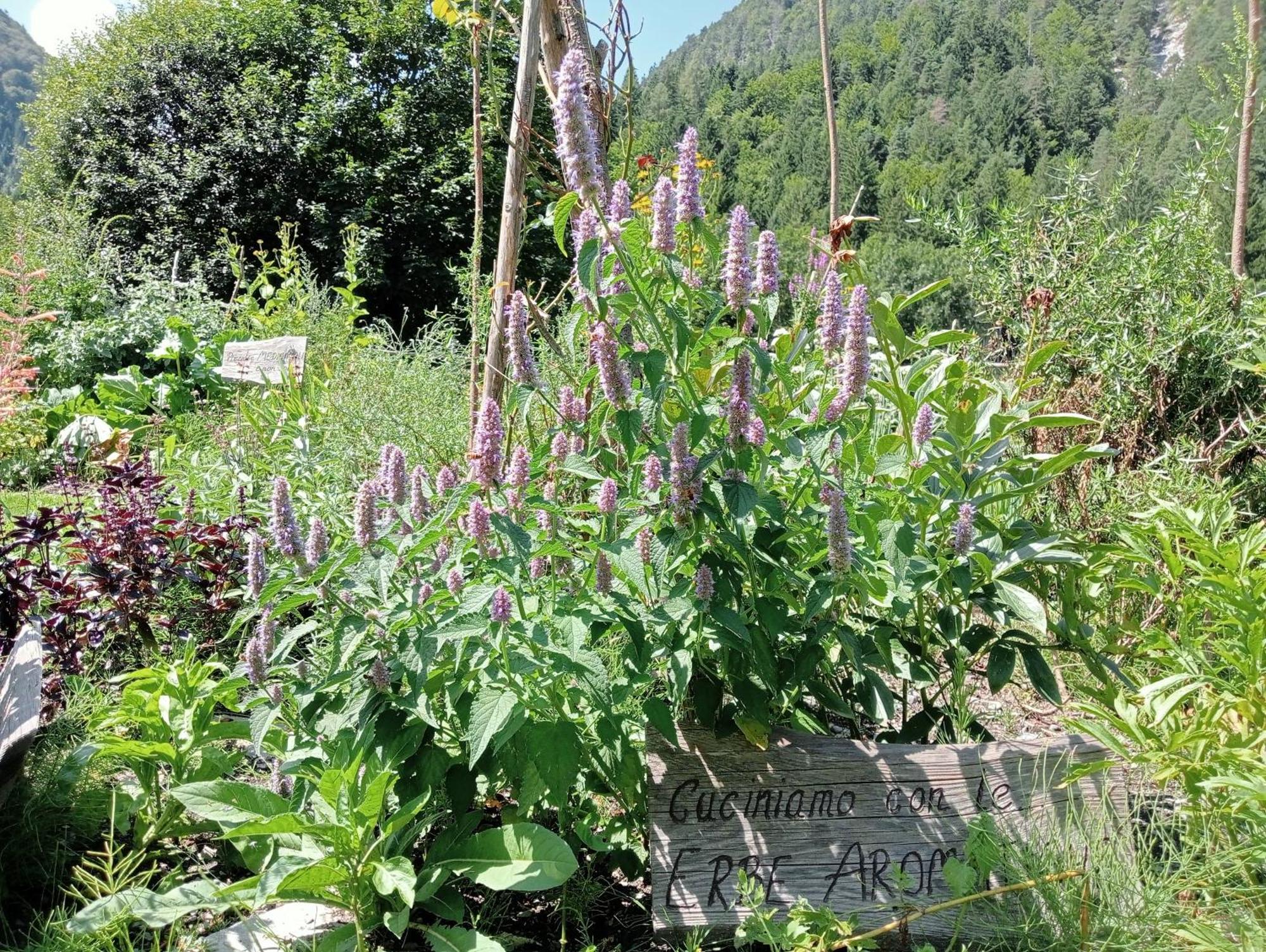 Alpi Giulie Chalets Valbruna Esterno foto