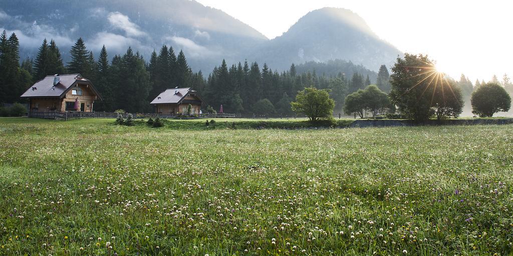 Alpi Giulie Chalets Valbruna Esterno foto