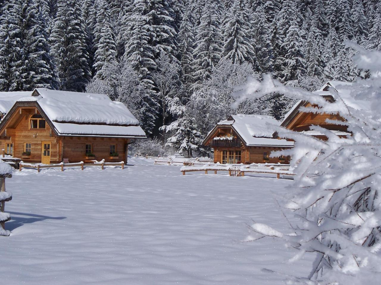 Alpi Giulie Chalets Valbruna Esterno foto